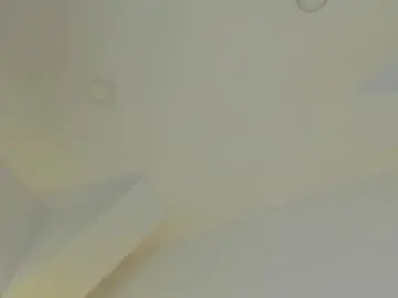 Chaturbate Adult Webcam of b3k_afrodict