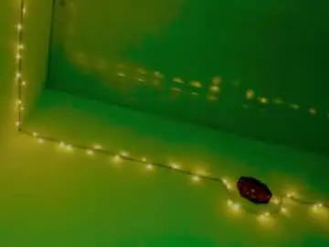 Chaturbate Adult Webcam of sexychubbyanna