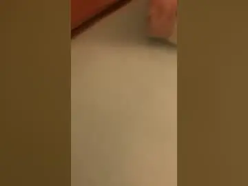 Chaturbate Best Webcam of thank4sex