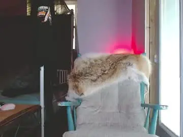 Chaturbate Private Sex Chat of cguffey2284