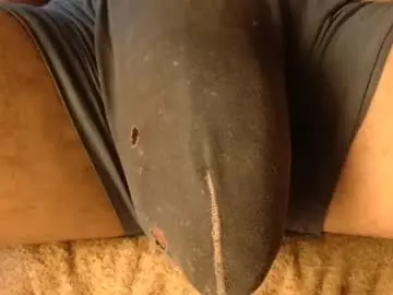 Chaturbate Best live sex cam show of withbothhandsplease
