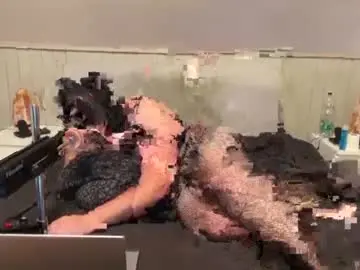 Chaturbate Sex Chat of tammiesissy