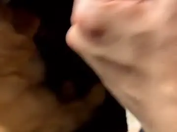 Chaturbate Sex Cam of mredgeistheguy