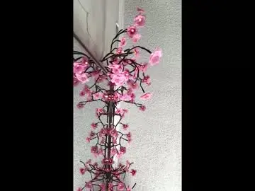 Chaturbate Live Porn of nymp_fairy