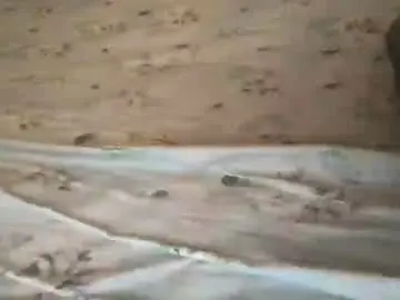 Chaturbate Live Sex of ajeeb_najeeb