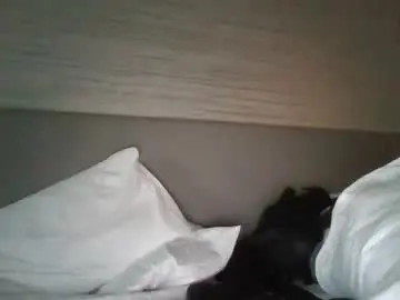 Chaturbate Free Porn Cam of bigcock7861
