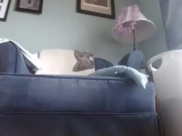 Chaturbate Adult Webcam of hornypanda33