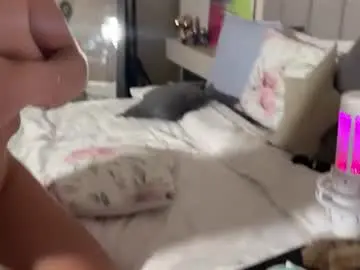 Chaturbate Adult Webcams of ella_twinkle