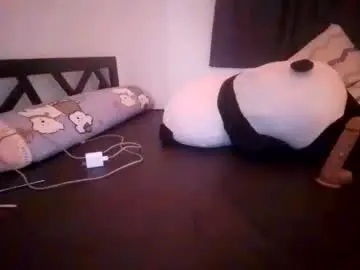 Chaturbate Free Live Porn of meltednorth6
