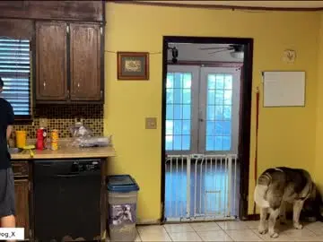 Chaturbate Free Porn Cam of the_alpha_dog_xxx