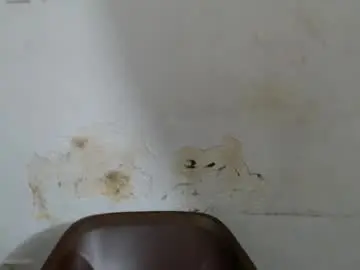 Chaturbate Live Porn of prettysexy6