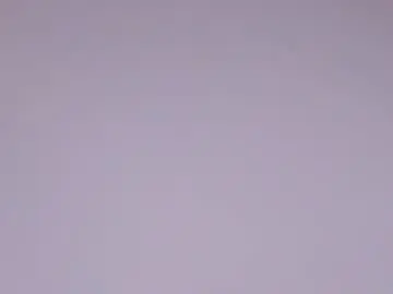 Chaturbate Watch Live Sex Cams of miamontoya