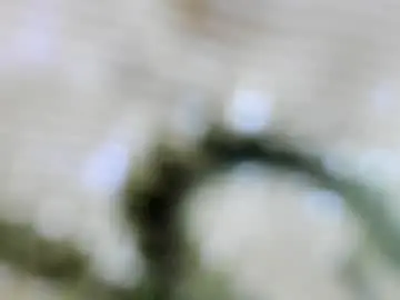 Chaturbate Live Sex of darkk_lovers