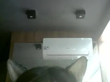 Chaturbate Watch Live Sex Cams of skinnykittencam