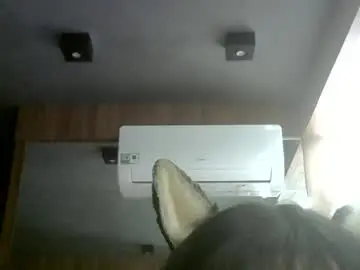 Chaturbate Sex Chat of skinnykittencam