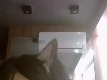 Chaturbate Private Sex Chat of skinnykittencam