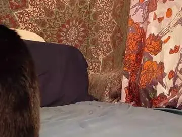 Chaturbate Adult Webcam of caseycasual24