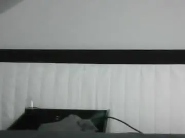 Chaturbate Free Live Porn of germancock51556
