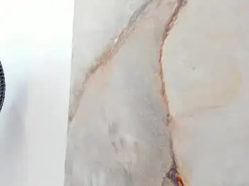 Chaturbate Sex Chat of mandyfisher