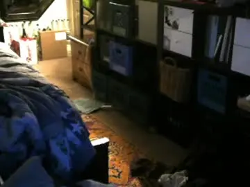 Chaturbate Live Sex Cam of jimmystippp