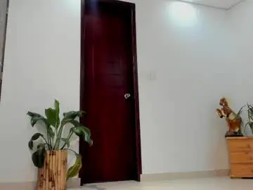 Chaturbate Nude Webcam of noahbrawn