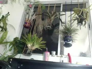 Chaturbate Best Webcam of cat_salo