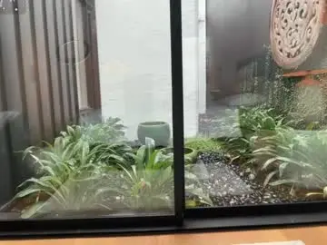 Chaturbate Live Porn of wasianbby