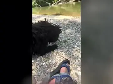 Chaturbate Nude Webcam of dondehaypelohayalegria