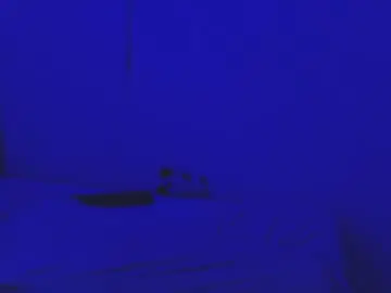 Chaturbate Free Porn Cam of sammy_fox26