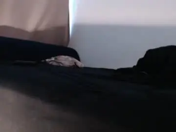 Chaturbate Free Porn Cam of feetrmistress