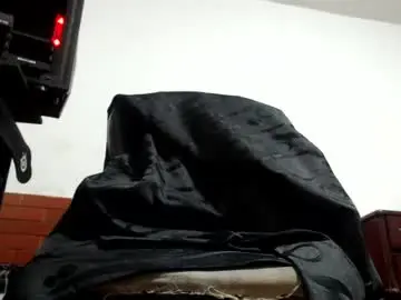 Chaturbate Adult Video Chat of hairyguyxl29