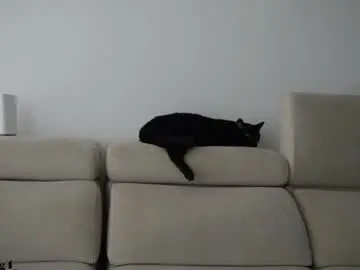 Chaturbate Best live sex cam show of andy_weld