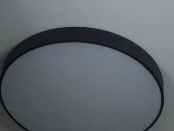 Chaturbate Sex Cam of forestproject