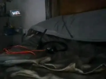 Chaturbate Sex Cam of camyosmeag