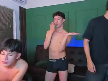 Chaturbate Private Sex Chat of party_guyssex