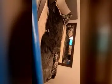 Chaturbate Best live sex cam show of kenn860