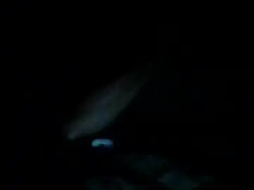 Chaturbate Best Webcam of strumie3534336684