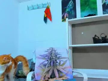 Chaturbate Free Porn Cam of drippyorlove