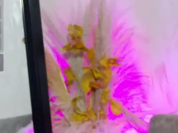 Chaturbate Free Porn Cam of mialxr