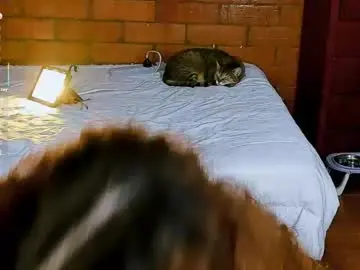 Chaturbate Adult Video Chat of annycolin