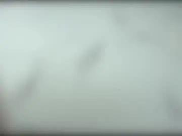 Chaturbate Free Porn Cam of arya_stark7