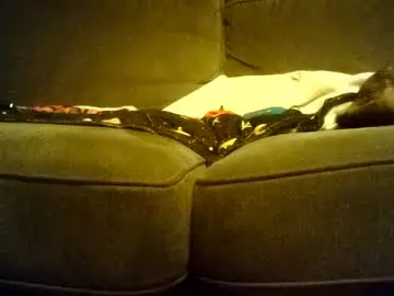 Chaturbate Live Sex Cam of stevemills23