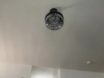 Chaturbate Adult Webcam of whitneyoc
