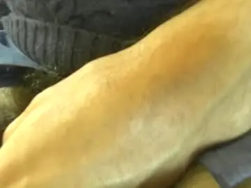 Chaturbate Private Sex Chat of platoniclov