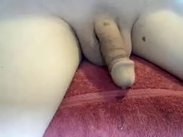 Chaturbate Live Sex of jries329