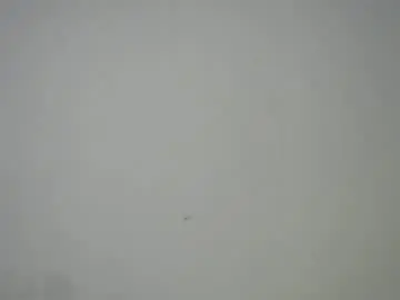 Chaturbate Live Sex Cam of sweet_pussy04