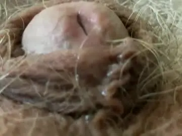 Chaturbate Adult Webcams of dotstir