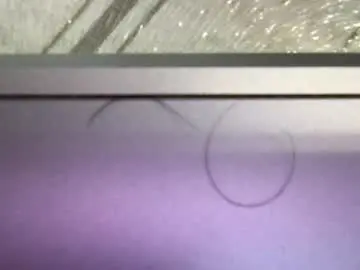 Chaturbate Private Sex Chat of _alan_bear_