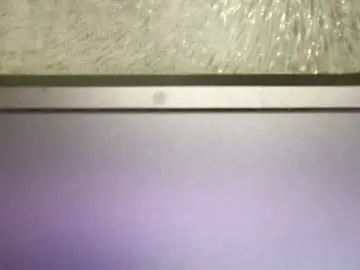 Chaturbate Free Live Porn of _alan_bear_
