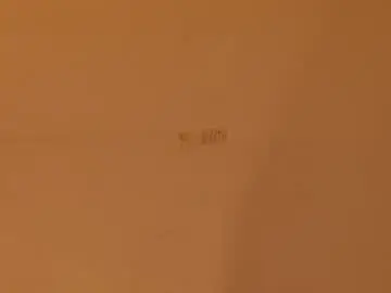 Chaturbate Live Sex of mli739709